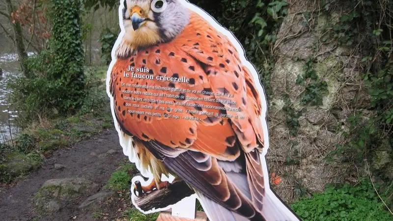 murmures-rochers-qui-va-la-levignobledenantes-tourisme (17)