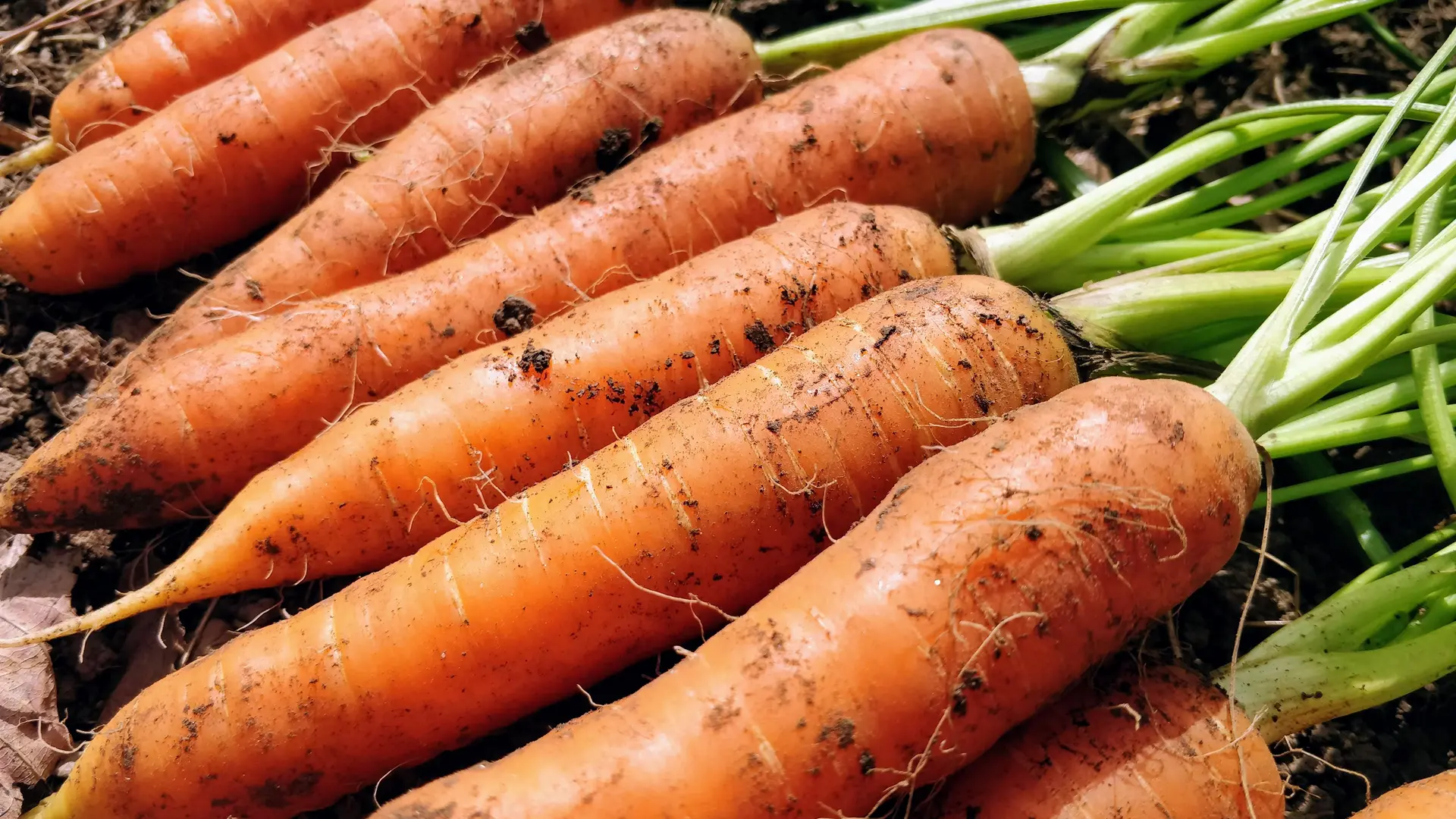 original_c5866d4d-b790-482d-bca7-a8d0266920c4_IMG_20230905_140020