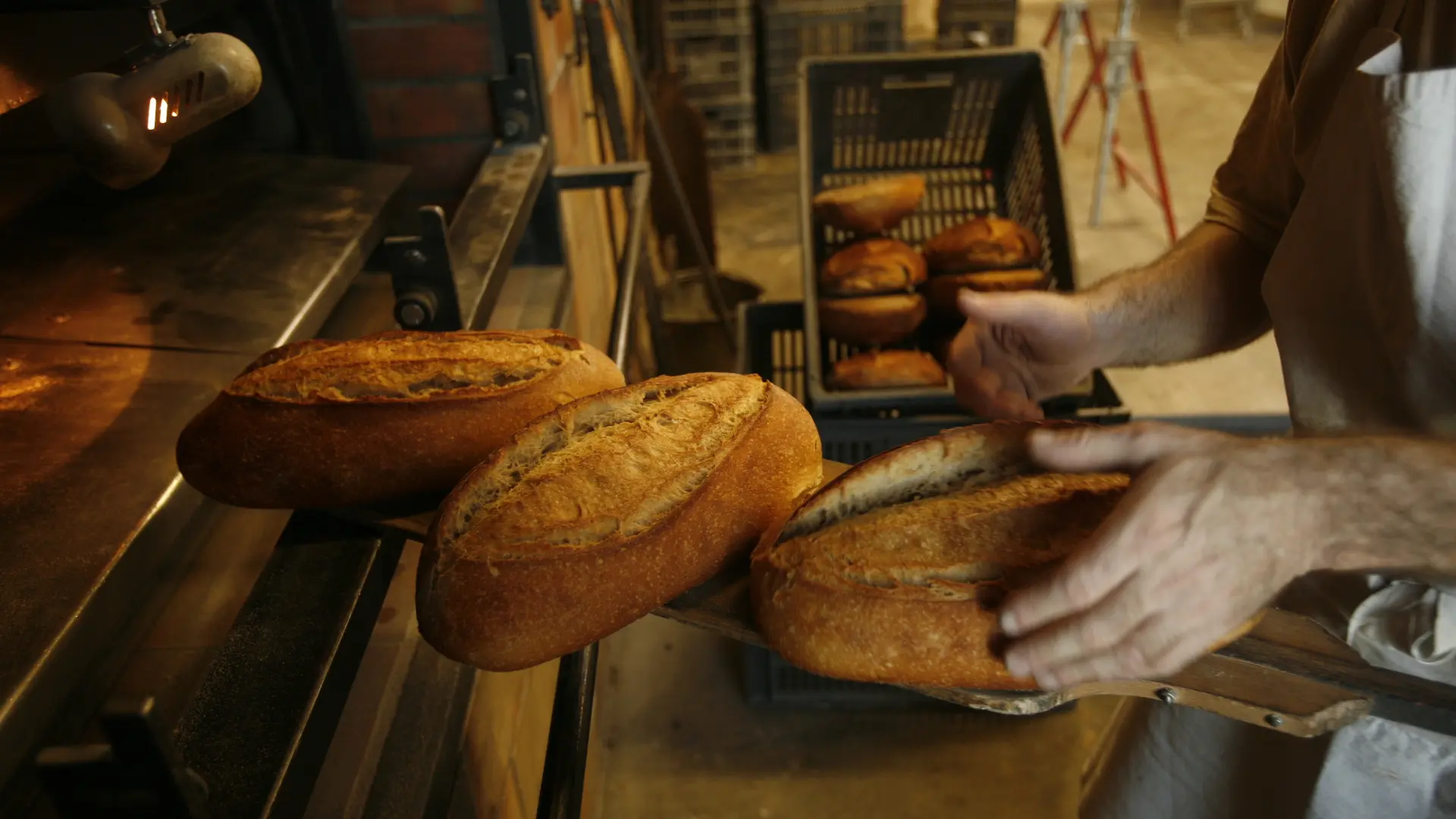 pain virgule, coop bakery, france1859