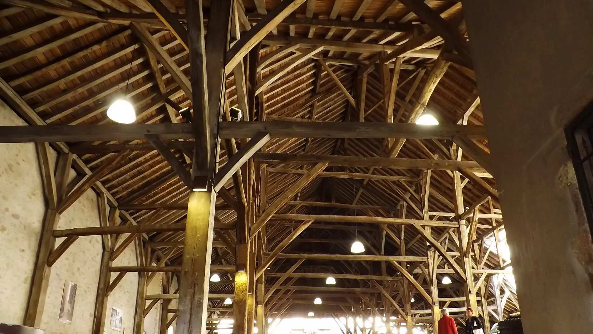 parcours baludik vignoble nantes (3)