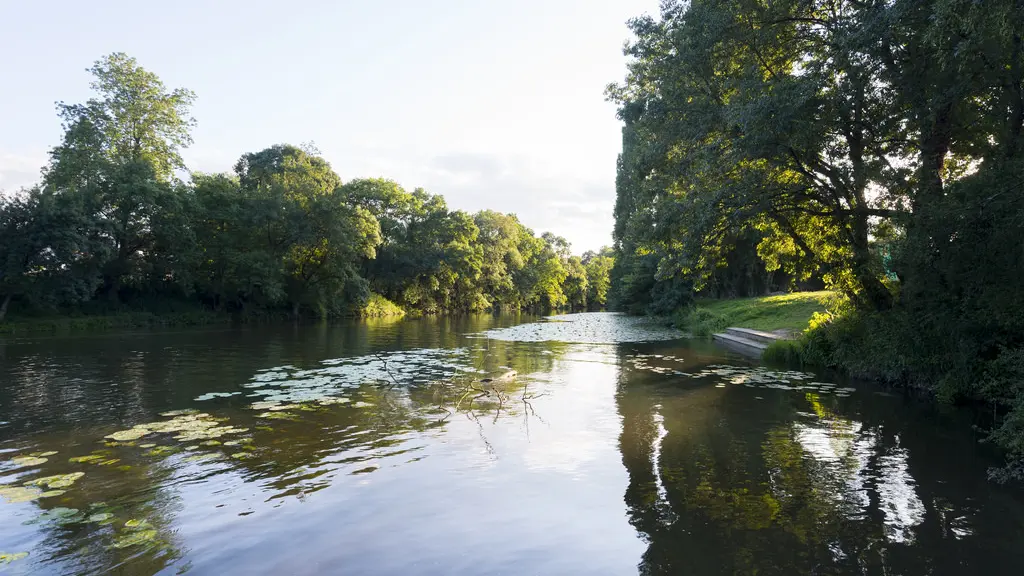 pe-vignard2-le-pallet-44-PNA