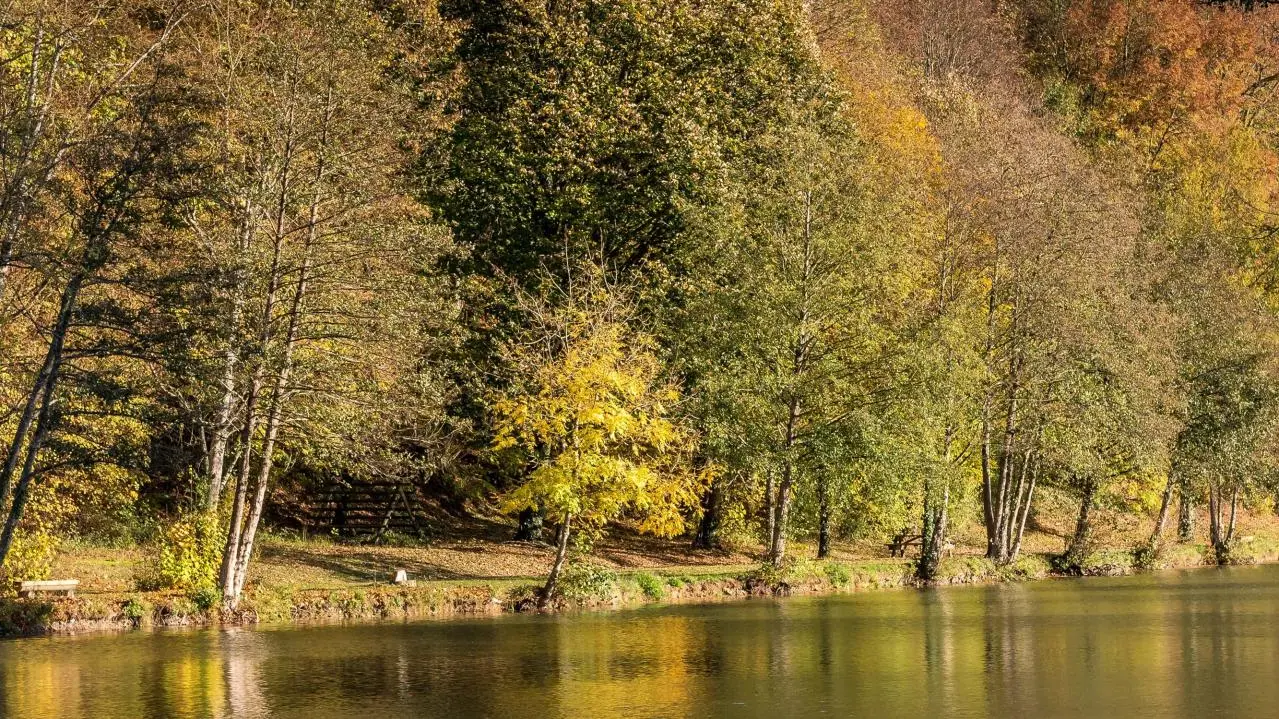 Etang de Courtanvaux
