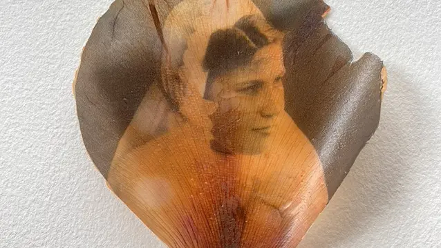 Inconnue, Photo transfert sur pétale