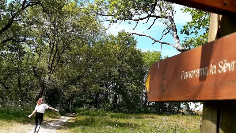 circuit entre moulins et chateaux la haye fouassiere