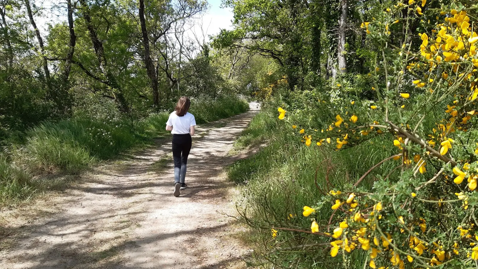 circuit entre moulins et chateaux la haye fouassiere