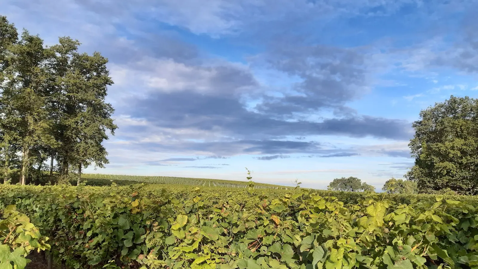 circuit entre moulins et chateaux la haye fouassiere