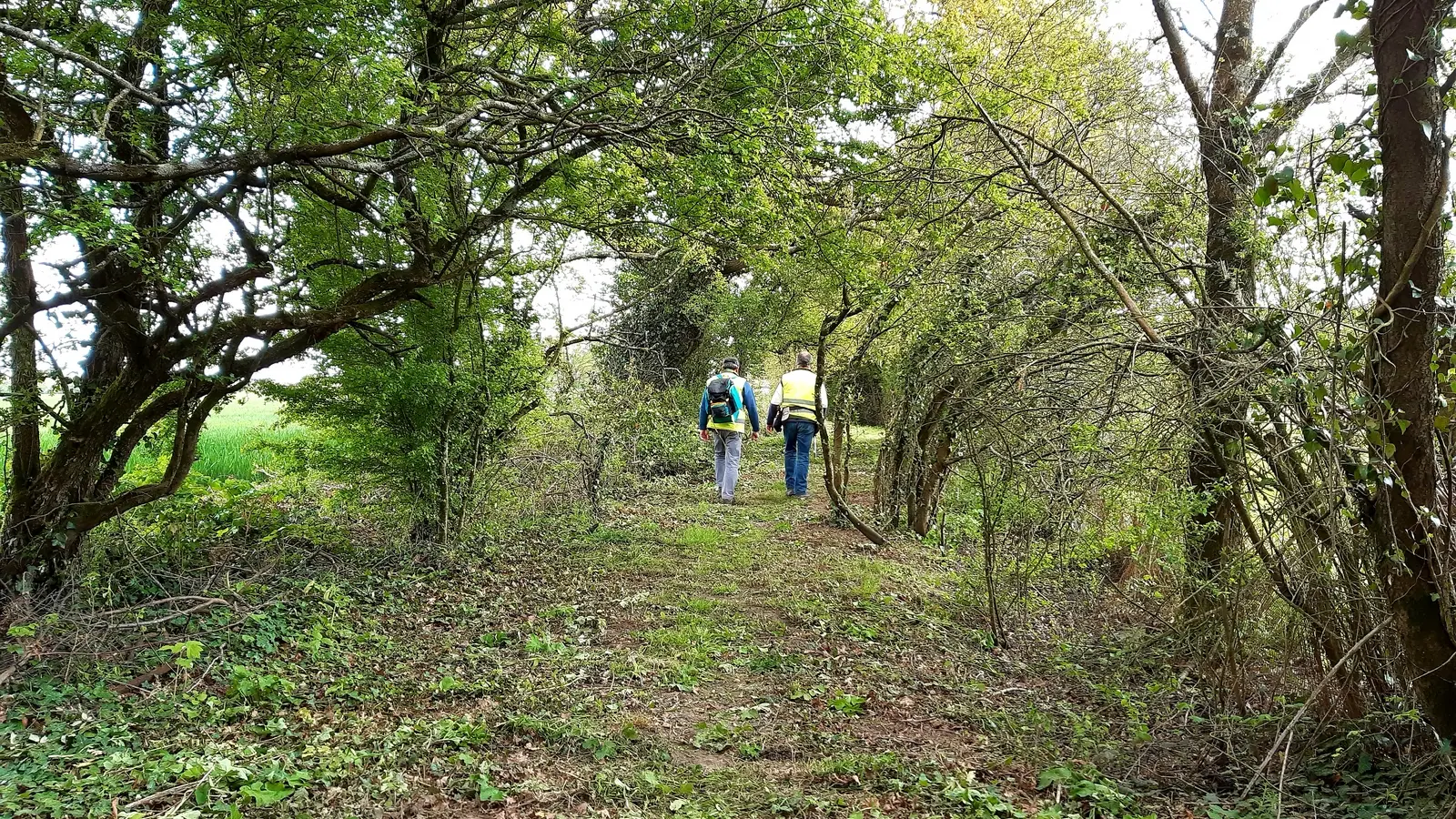 circuit-landes-laremaudiere-levignoblenantes-tourisme
