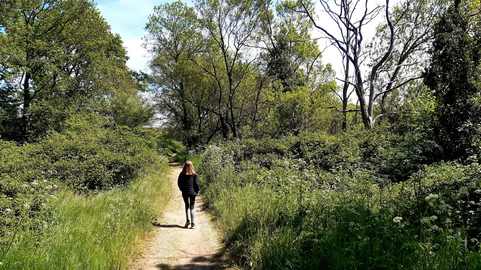 circuit entre moulins et chateaux la haye fouassiere