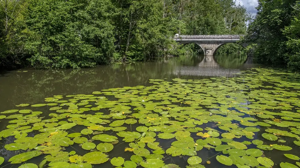 bena-balades-en-nature-accompagnée-sevremoine