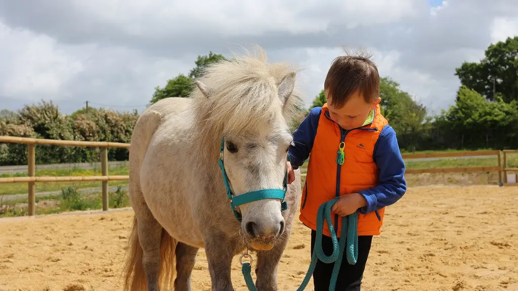 poney-vignes-en-selle-st-crespin-sur-moine-sevremoine-nantes-cholet-clisson