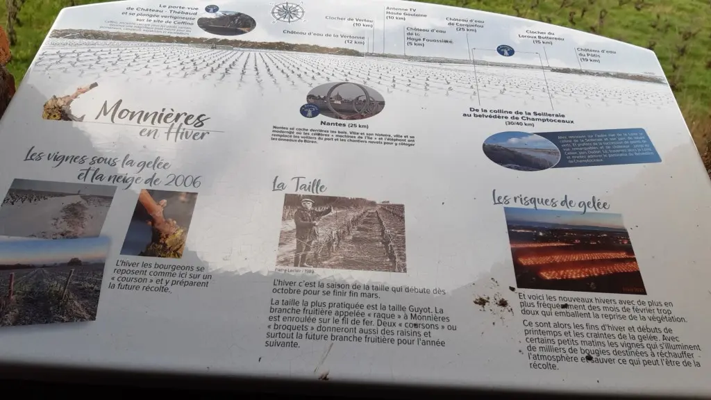 Point de vue au Moulin de la Minière à Monnières