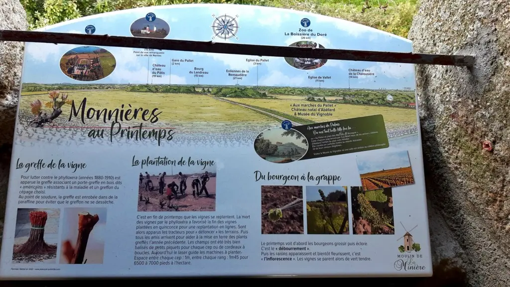 Point de vue au Moulin de la Minière à Monnières