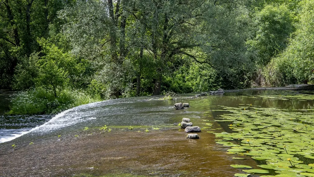 bena-balades-en-nature-accompagnée-sevremoine