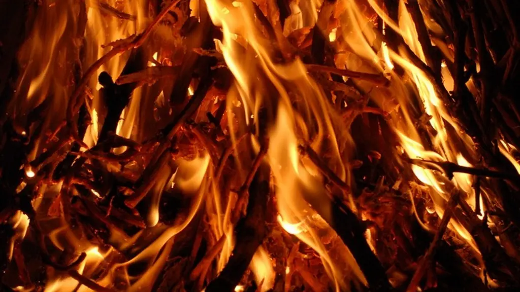 restaurant-grill-de-l-europe-st-julien-de-conselles-44-RES- (6)