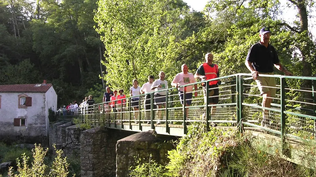 reuzard-vallee-maine-aigrefeuille-sur-maine-44- (2)