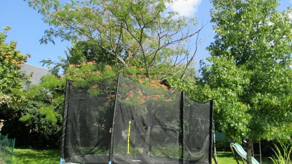 Gîte de la Ferme de la Chapelle St Jean-trampoline_Beynat