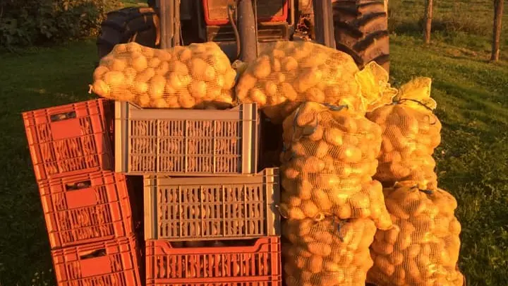 Ferme-de-Brossard_Lanteuil_produits