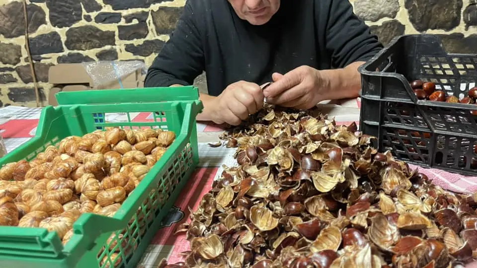 Ferme-de-Brossard_Lanteuil_chataignes