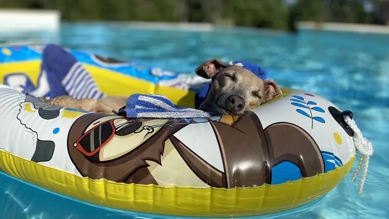 Détente à la piscine