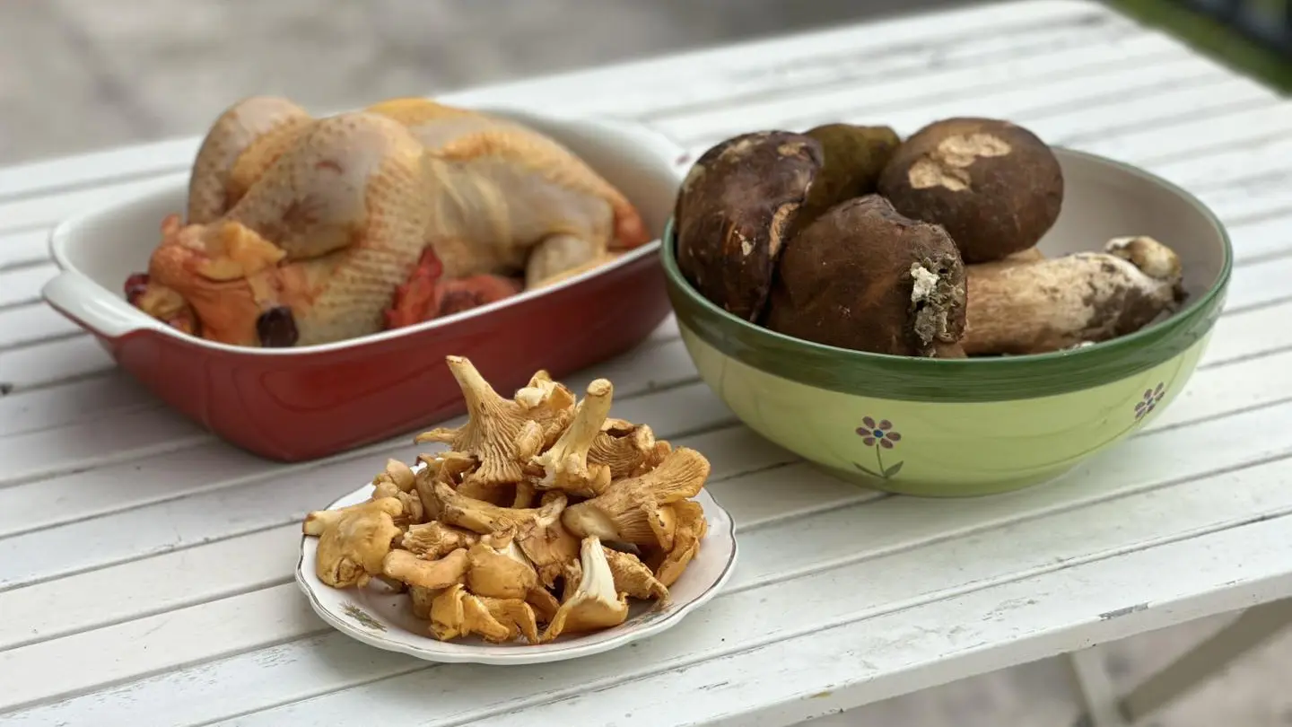 547035475_1307761141051310_5928549515652577892_n