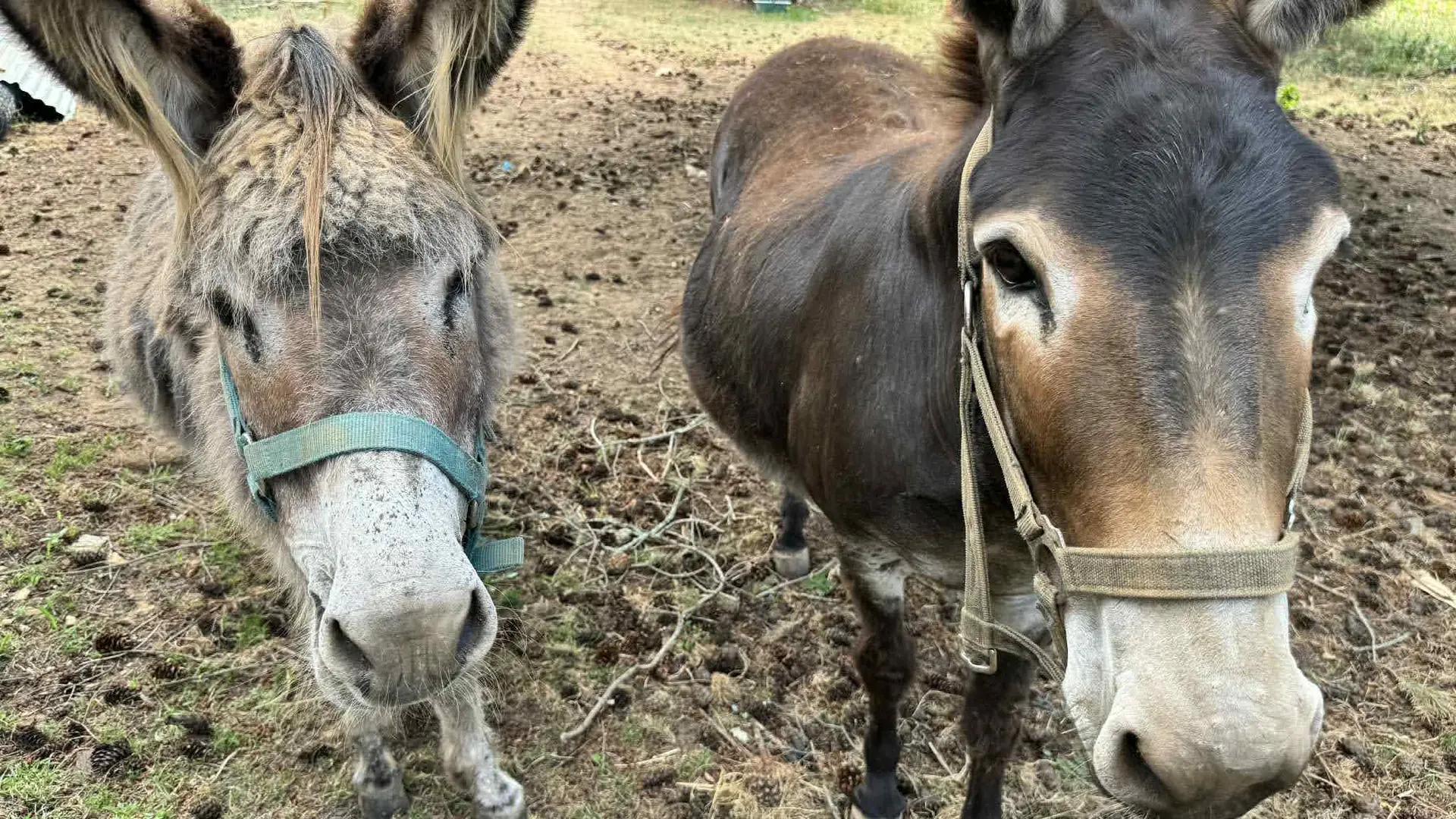 55d99984-f2ec-4baa-90ed-f05bc5665003