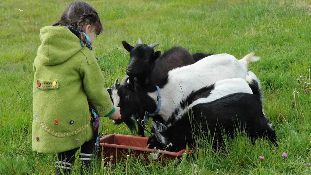 Ferme de Brossard - Ferme Pédagogique_enfantsEtAnimaux