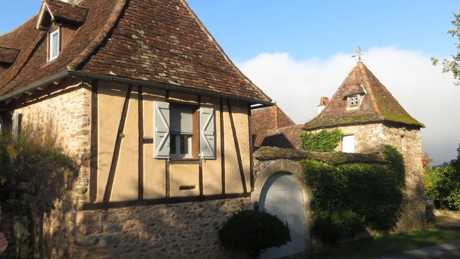 6  ALTILLAC - Le château du Doux (1)