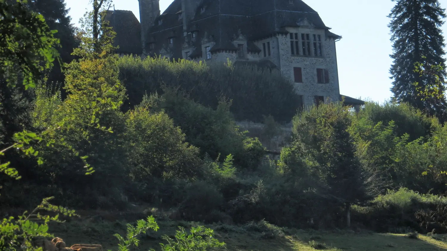 6  ALTILLAC - Le château du Doux (2)