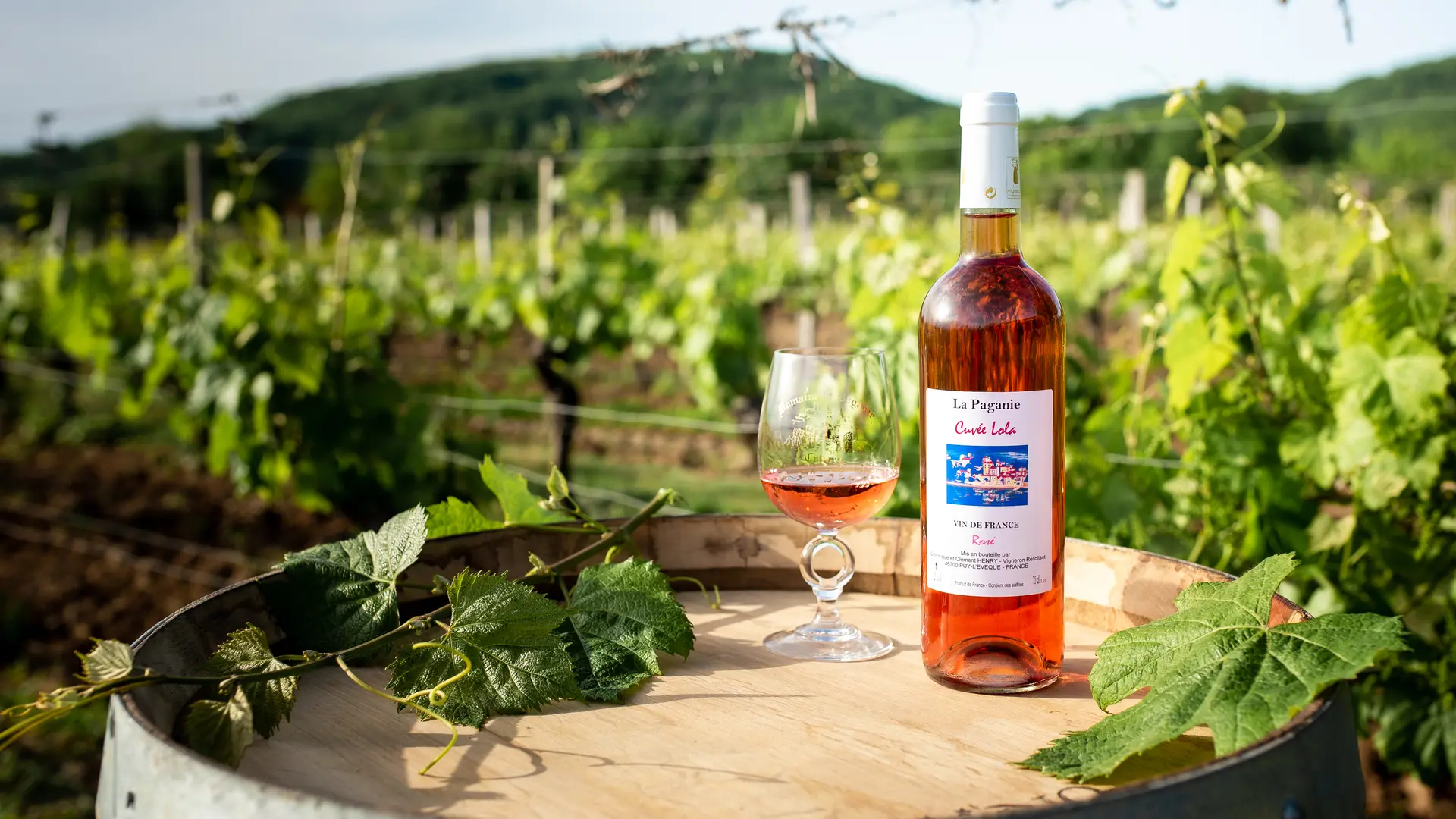 Domaine la Paganie rosé 