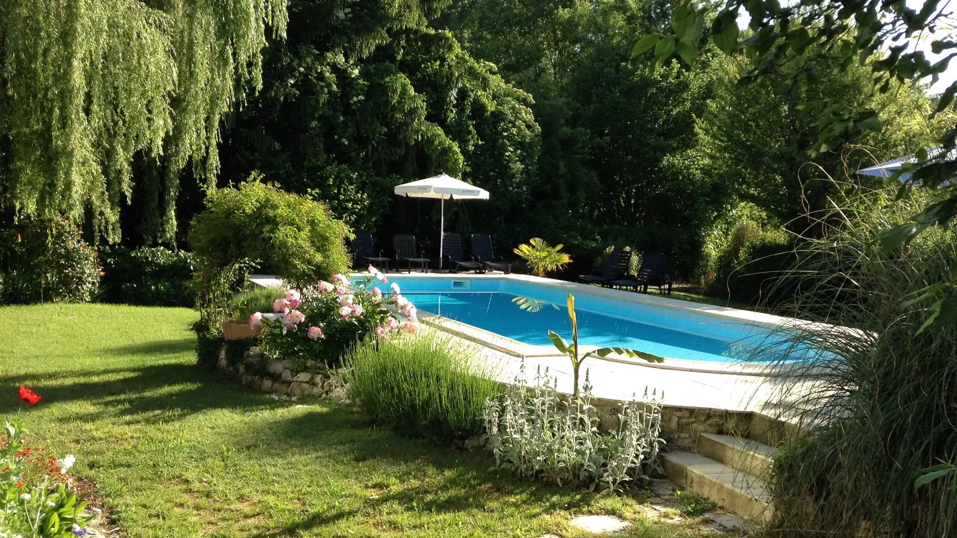 64947926_473593900111456_5664439393813790720_n