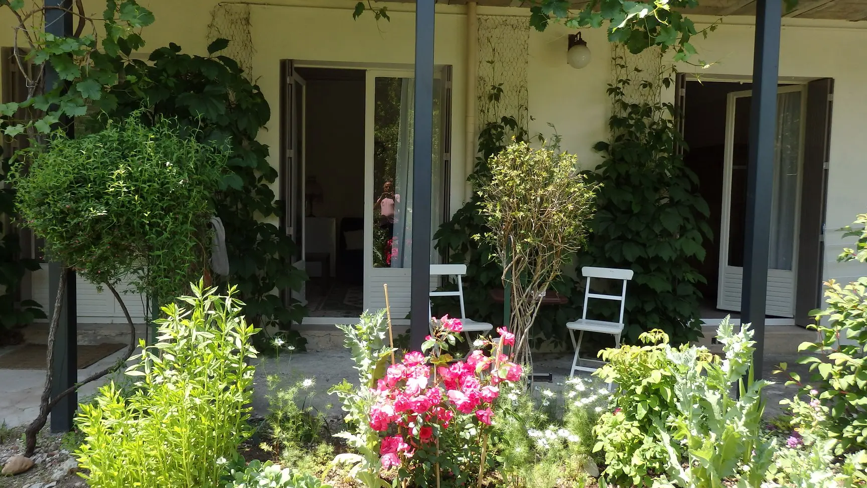 65986012_481816455955867_5884016036293902336_n