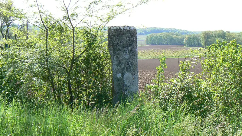 Mayrac - La Pierre Plantée