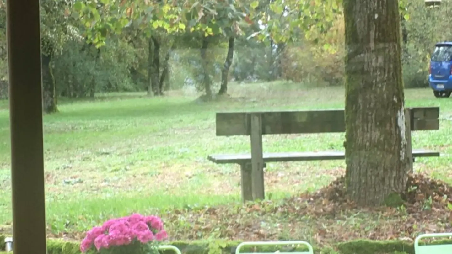 Vue depuis grand séjour