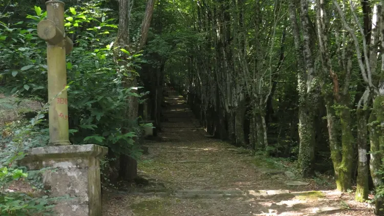 MERCOEUR - Entre terre et eaux (4)