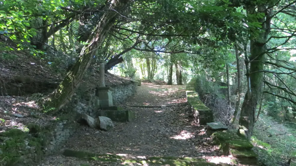 MERCOEUR - Entre terre et eaux (5)