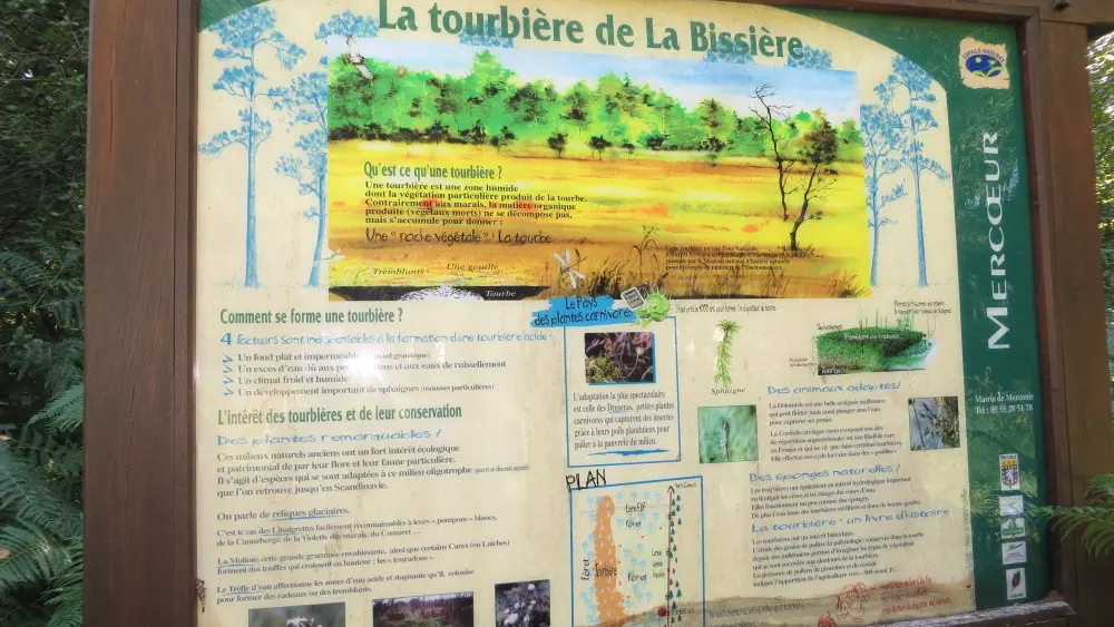 MERCOEUR - Entre terre et eaux (2)