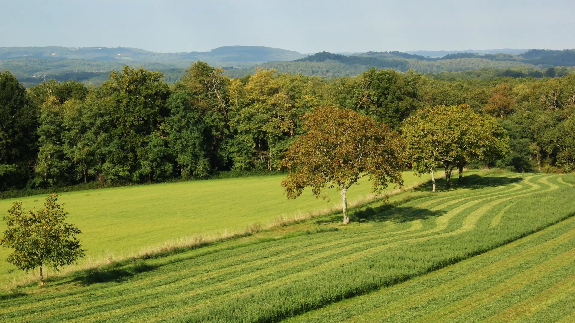 800 m de chemin privé pour accéder au bois d'1,5 hectare. Fleurs et animaux sauv