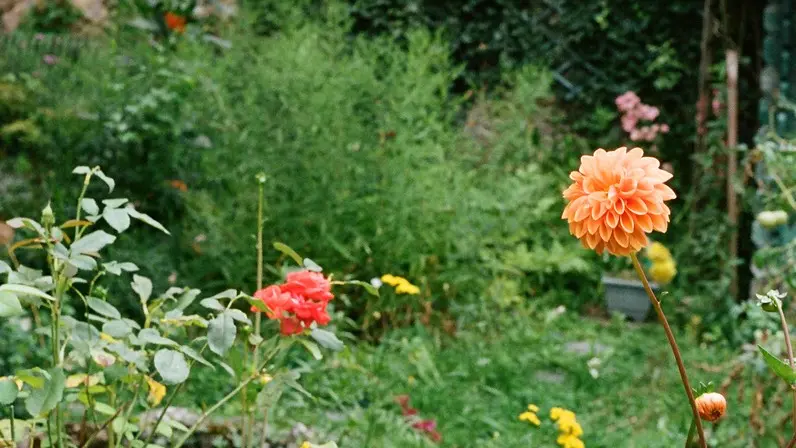 Le jardin au Relais du Chien Bleu