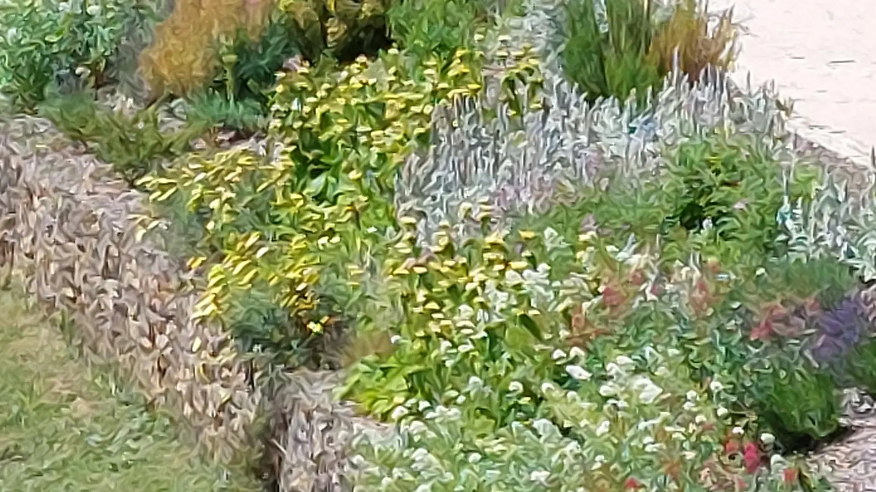 © Aire Jardin des Causses du Lot (2)