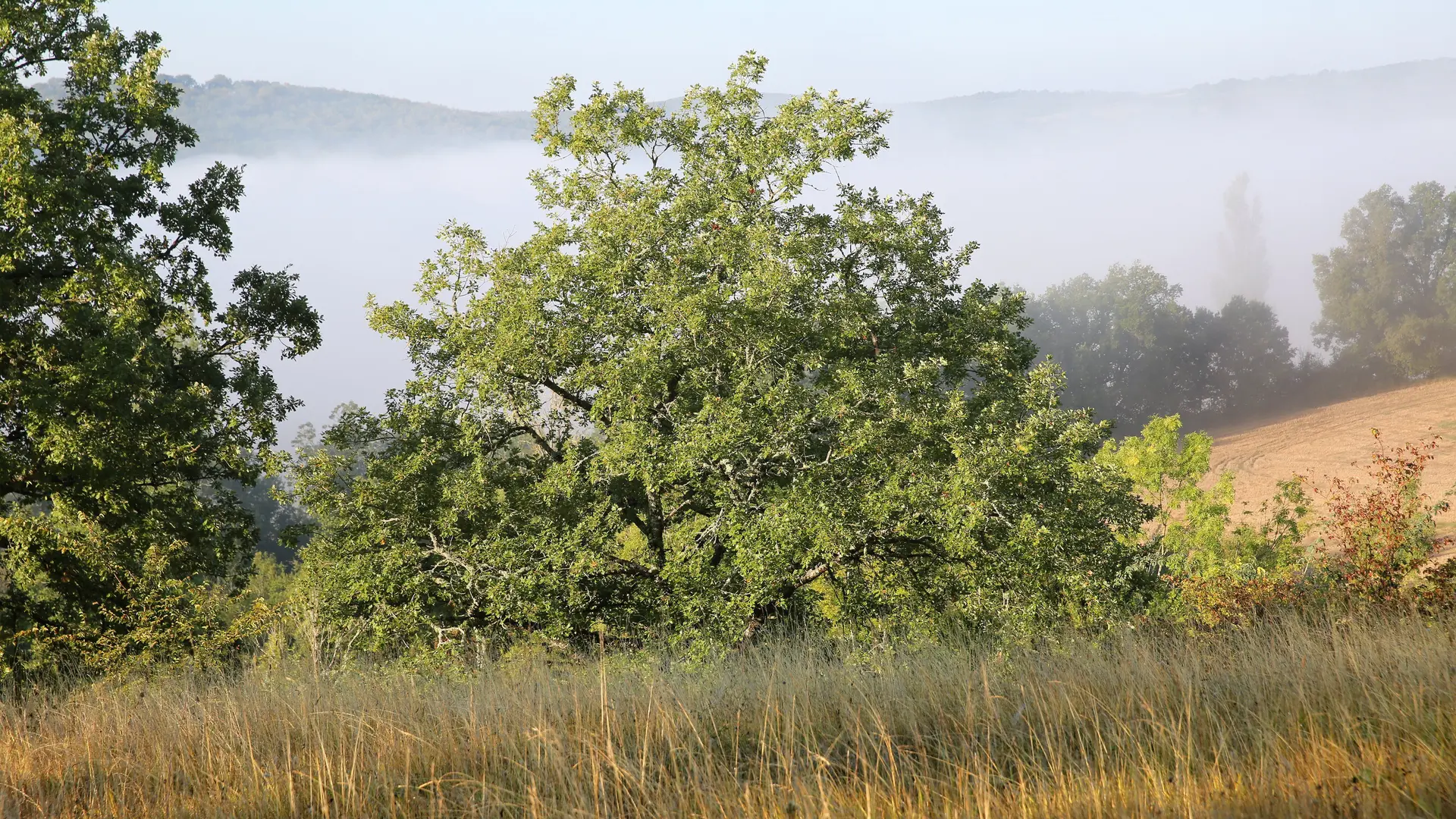 Le causse à Boussac © Jerôme Morel