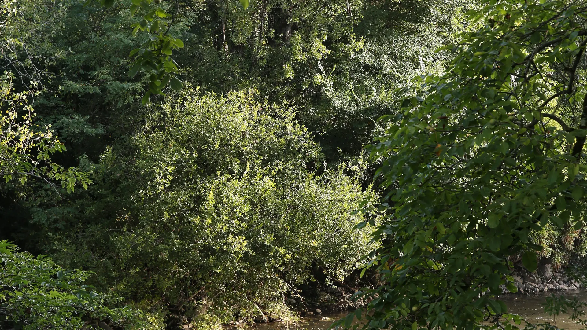 Boussac - Le Célé © Jerôme Morel