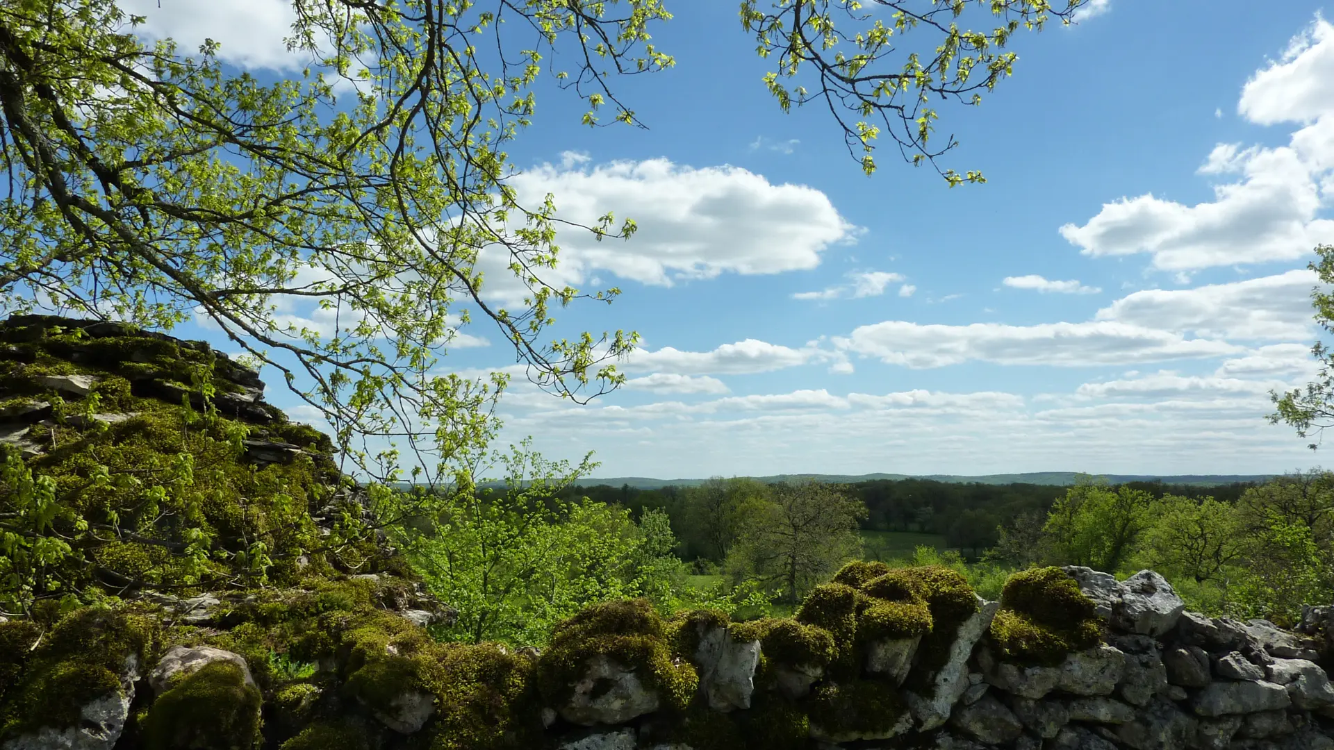 Assier - Muret de Pierres_09 © Lot Tourisme - C. Sanchez