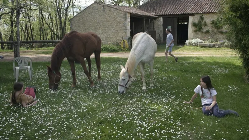 Ferme équestre du cheval blanc - Lacapelle Cabanac