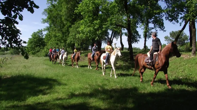 Ferme équestre du cheval blanc - Lacapelle Cabanac