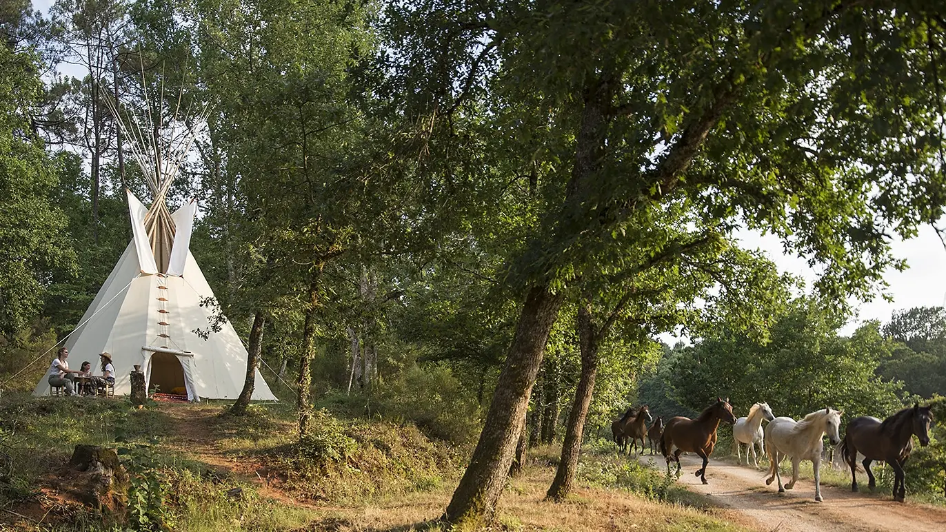 tipi et chevaux