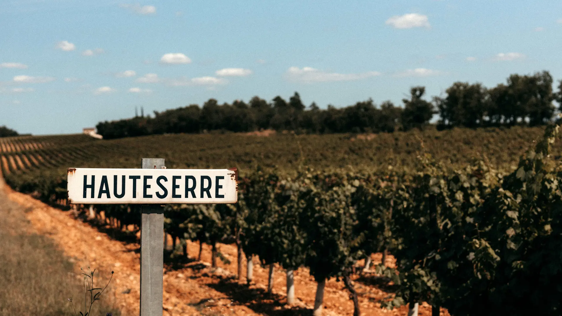 Vignes de Haute-Serre