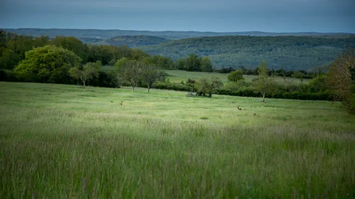 La Trigone II - Vue sur le Causse sauvage