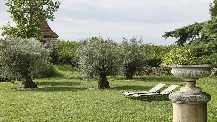 Parc arboré, oliviers centenaires