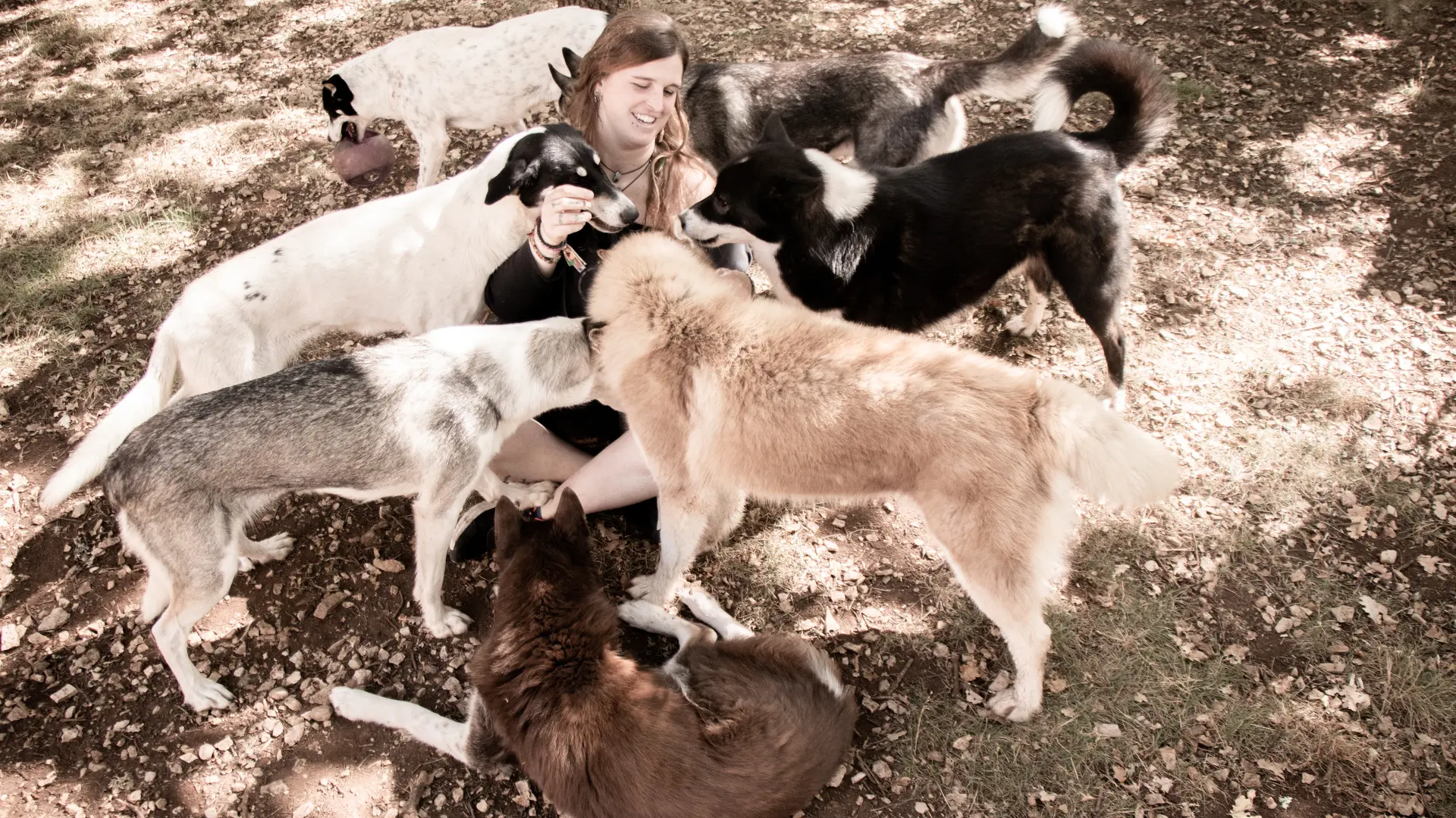 Aurélie avec les chiens