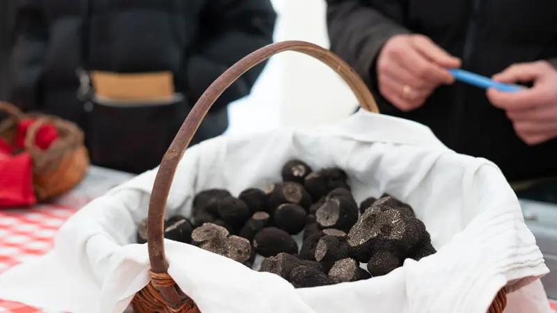 Marché aux truffes 2024